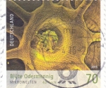 Stamps Germany -  MICROORGANISMOS