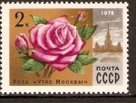 Stamps Russia -  Rosa