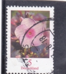 Stamps Germany -  FLOR