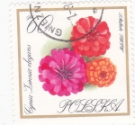 Stamps Poland -  FLORES-