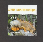Sellos de Europa - Macedonia -  Iguana iguana