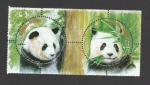 Sellos de Asia - Tailandia -  Oso panda, 30 años relaciones con China