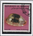 Stamps Africa - Djibouti -  Conchas: Cypraea Erythaeenis