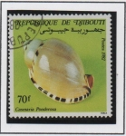 Stamps : Africa : Djibouti :  Conchas: Casmaria Ponderosa