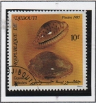 Stamps Africa - Djibouti -  Conchas: Nefrites Cypraea