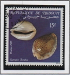 Stamps : Africa : Djibouti :  Conchas: Turdus  Cypraea