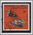 Stamps : Africa : Djibouti :  Conchas: Conus Acuminatu