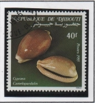 Stamps : Africa : Djibouti :  Conchas: Camelopardalis Cypraea