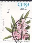 Stamps Cuba -  FLORES- Nerium Orleander