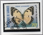Stamps : Africa : Djibouti :  Colotis Protomedia