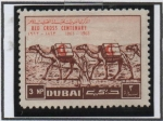 Stamps United Arab Emirates -  Camellos Avanzando