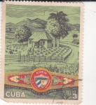 Stamps Cuba -  Historia del tabaco siembra y cosecha