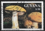 Stamps Guyana -  Setas - Cortinarius Glaucopus