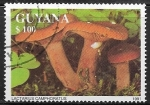 Stamps : America : Guyana :  Setas - Lactarius Camphoratus