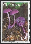 Stamps Guyana -  Setas - Laccaria amethystina