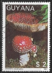Stamps Guyana -  Setas - Amanita muscaria