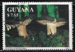 Sellos de America - Guyana -  Setas - Russula Nigricans