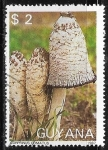 Stamps Guyana -  Setas - Coprinus comatus)