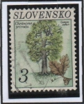 Stamps Slovakia -  Quercus Robur
