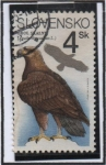 Stamps : Europe : Slovakia :  Rapaces: Águila Chysaetos