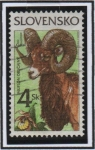 Stamps : Europe : Slovakia :  Animales Protegidos: Ovis Musimon