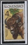 Stamps : Europe : Slovakia :  Animales Protegidos: Bison Bonasus