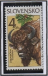 Sellos del Mundo : Europa : Eslovaquia : Animales Protegidos: Bison Bonasus