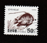 Sellos de Asia - Corea del norte -  Pez coral
