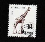 Stamps North Korea -  Jirafa