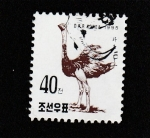 Stamps North Korea -  Avestruz