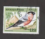 Stamps Benin -  Ave Camachuelo común