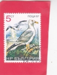 Sellos de Europa - Bulgaria -  aves