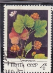 Stamps Russia -  FLORES