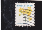 Stamps Brazil -  FLORES- Cassia