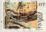 Stamps Spain -  Fauna española en peligro de extinción