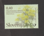 Stamps Slovenia -  lora de los jardines públicos de Eslovenia:Pastinaca sativa