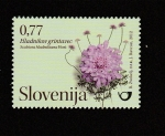 Sellos de Europa - Eslovenia -  Flora de los jardines de Eslovenia: Scabiosa spp.