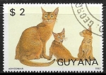 Sellos de America - Guyana -  Abyssinian (Felis silvestris catus)