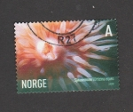 Sellos de Europa - Noruega -  Urticina eques