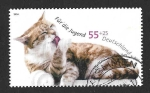 Stamps Germany -  B939 - Gato