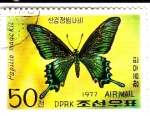 Sellos de Asia - Corea del norte -  Mariposa