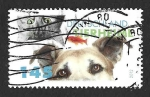 Stamps Germany -  2684 - Asociación de Protección Animal