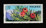 Stamps : Europe : Poland :  Taxus baccata