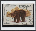 Stamps Spain -  Oso Pardo