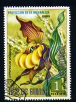 Sellos de Africa - Guinea Ecuatorial -  Protección de la Naturaleza