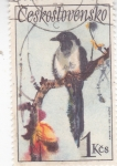 Stamps Czechoslovakia -  AVE-Eurasian Magpie (Pica pica)