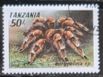Stamps Tanzania -  Eurypelma sp.
