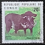 Sellos del Mundo : Africa : Rep�blica_del_Congo : Phacochoerus aethiopicus