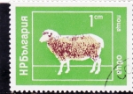 Stamps Bulgaria -  carnero