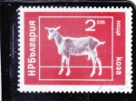 Stamps Bulgaria -  cabrito